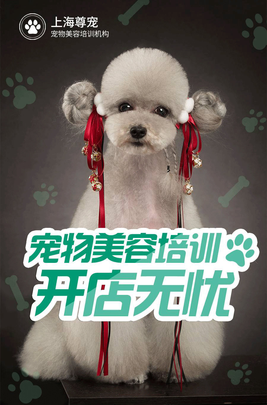 上海尊宠宠物美容师培训学校